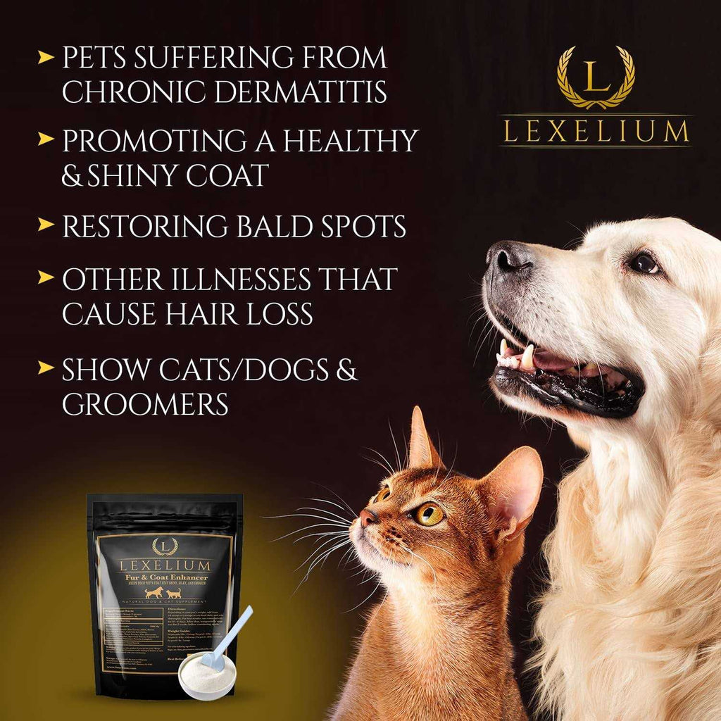 Dermatitis Skin and Coat Supplement for Dogs and Cats W9161