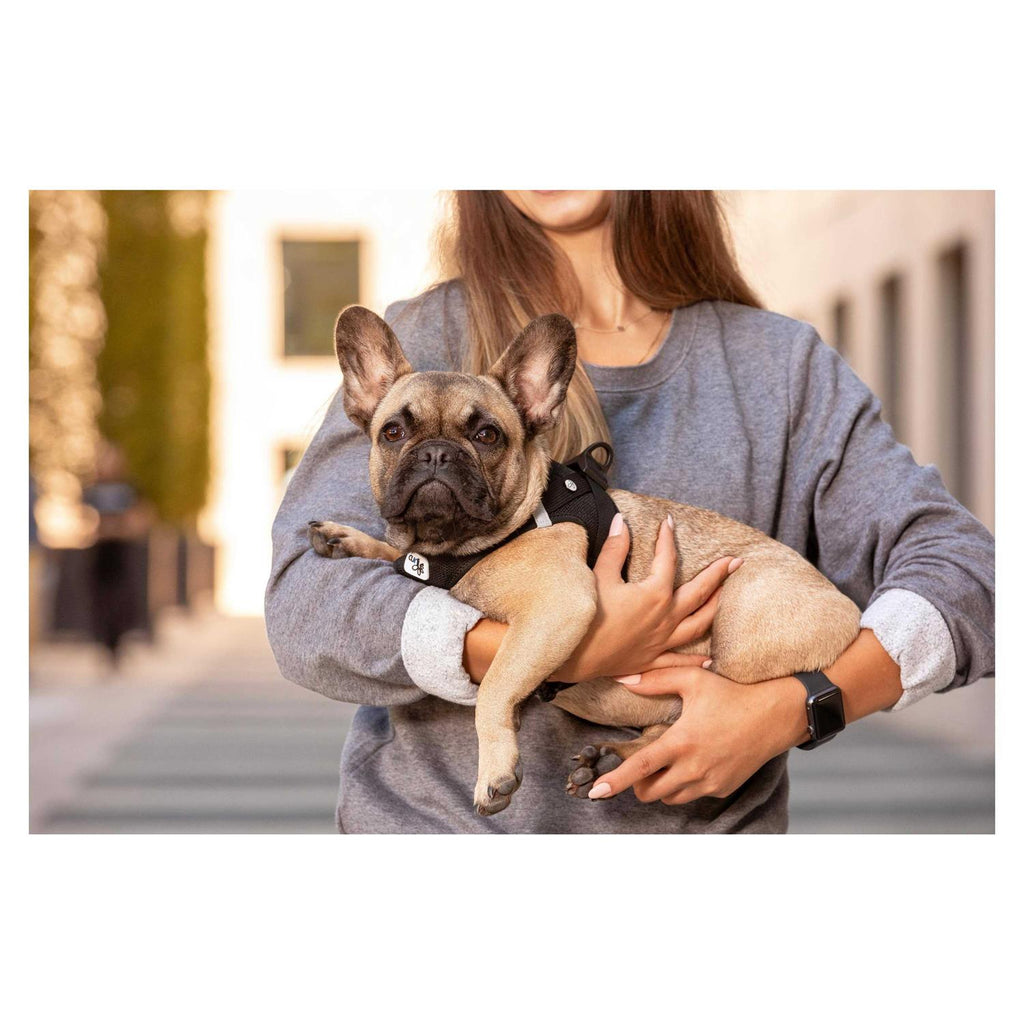 Air-Mesh Dog Harness A867172