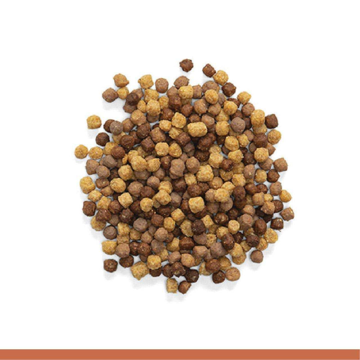 2 lbs Bird Food for Medium Birds X479