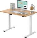 48 x 24 Inches Electric Height Adjustable Standing Desk W4150