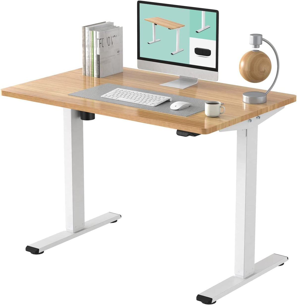 48 x 24 Inches Electric Height Adjustable Standing Desk W4150