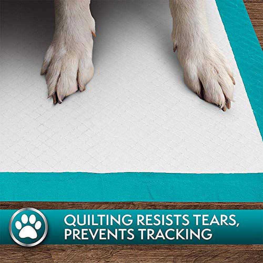 Extra Large Training Pads Y23305