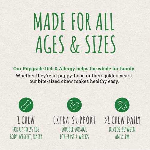 Itch & Allergy Chew Supplement for Dogs with Alaskan Salmon Fish Oil X578759