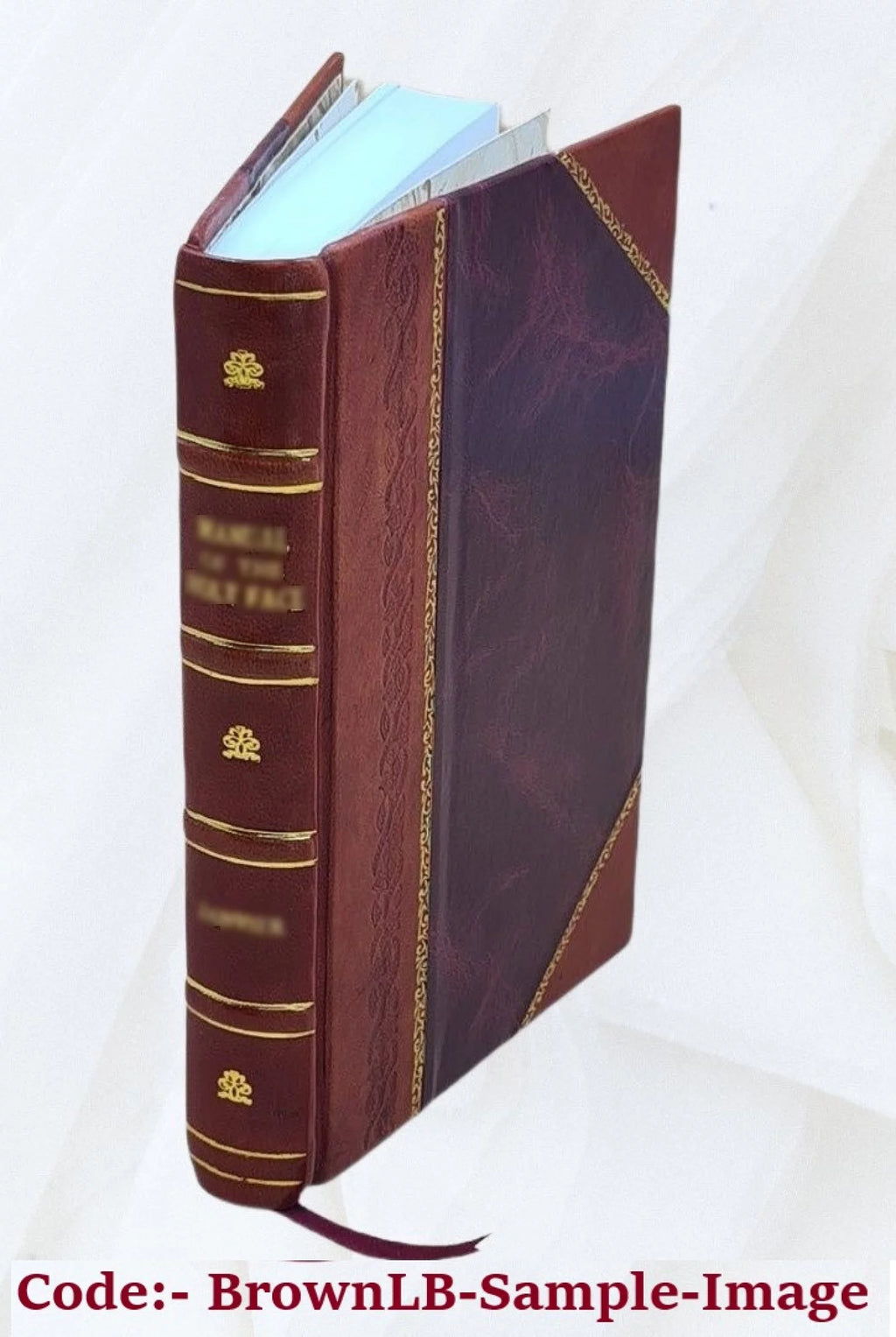 Antiquarian Architecture Specimens O2423