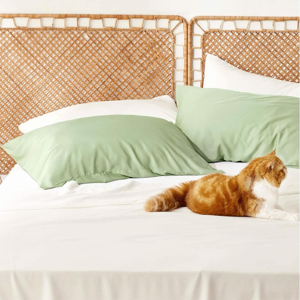 Pillow Cases Set W705