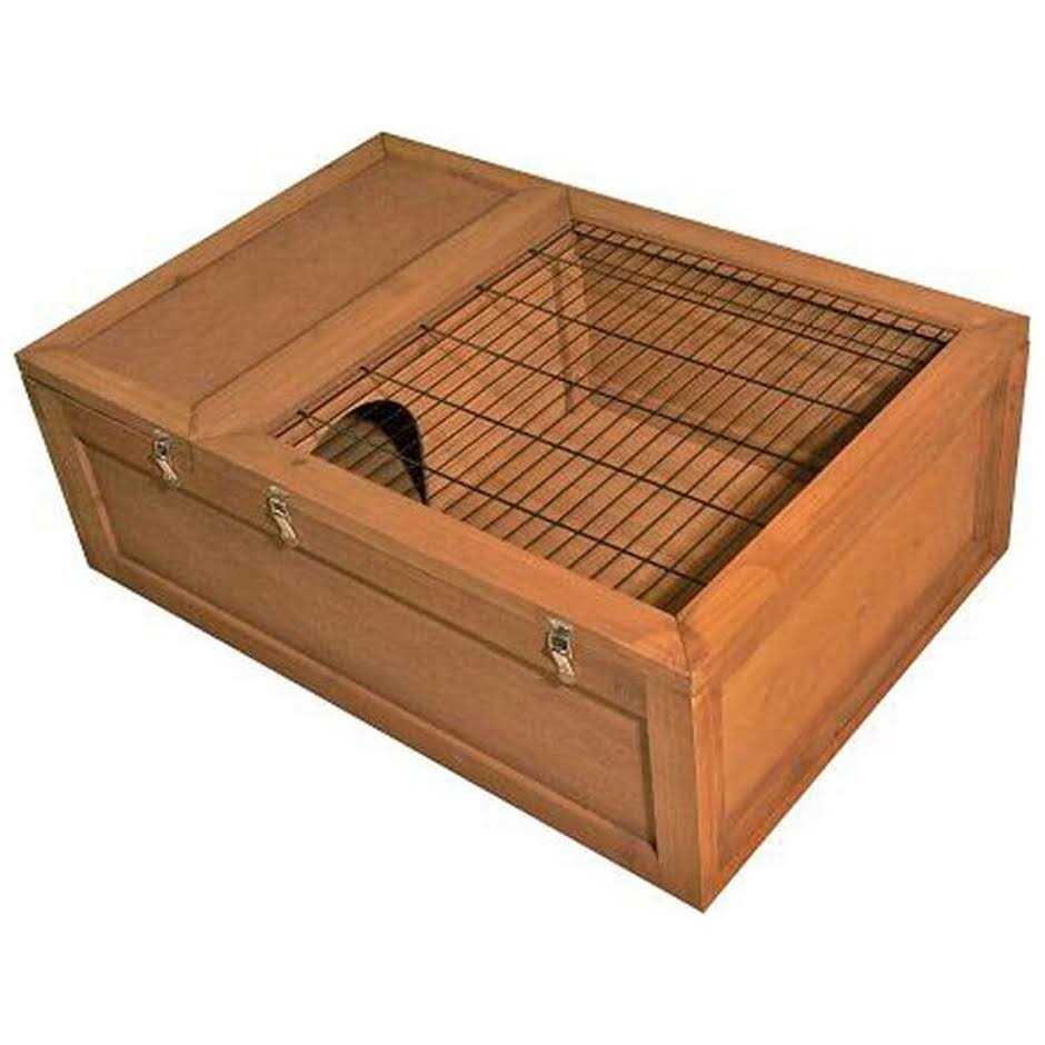 Tortoise House F489