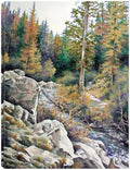 Canvas Art 24x32 N806981