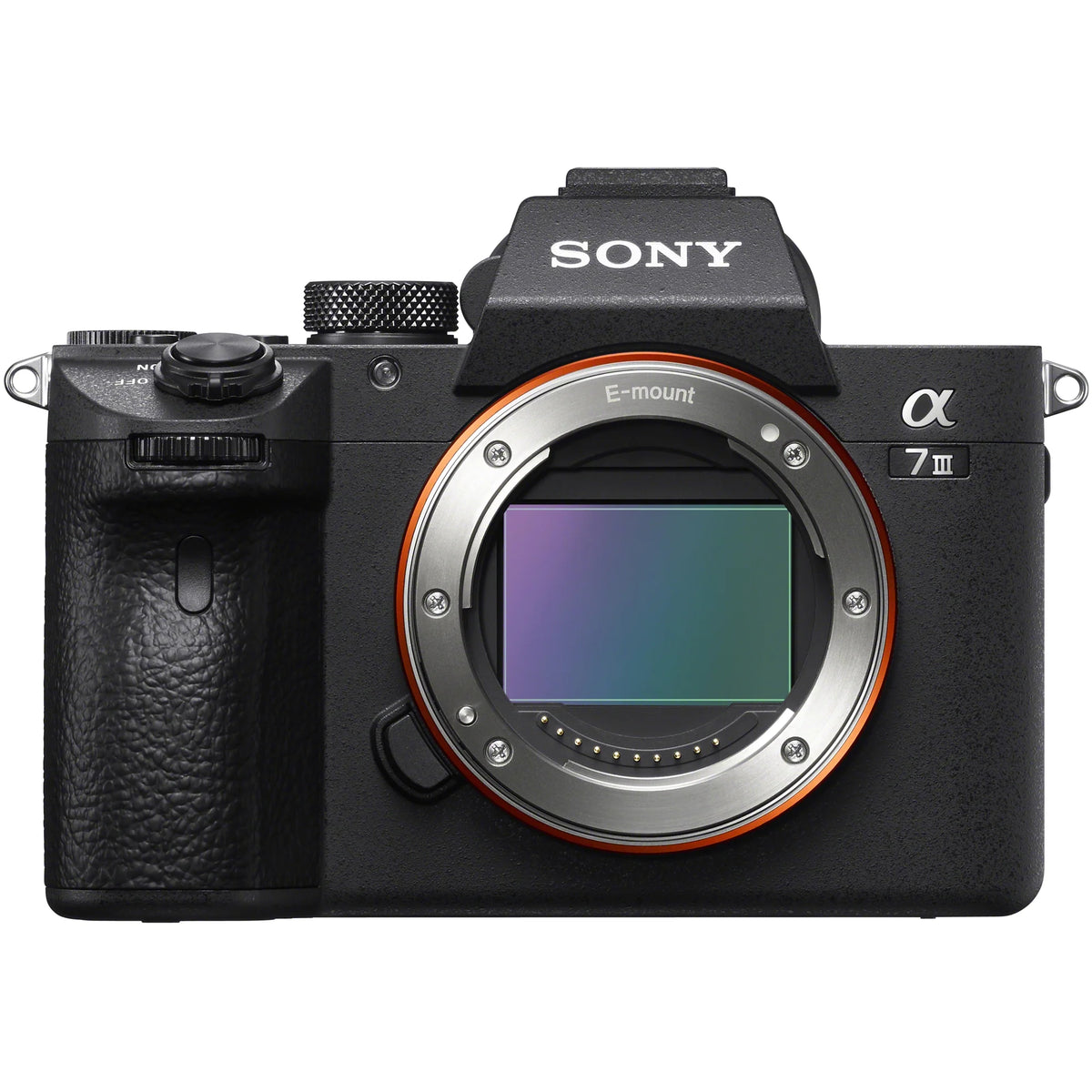 Full Frame Mirrorless Interchangeable Lens Camera Body Bundle with Travel Bag, 2x 64GB Memory Cards, and Accessories (18 Items) S334