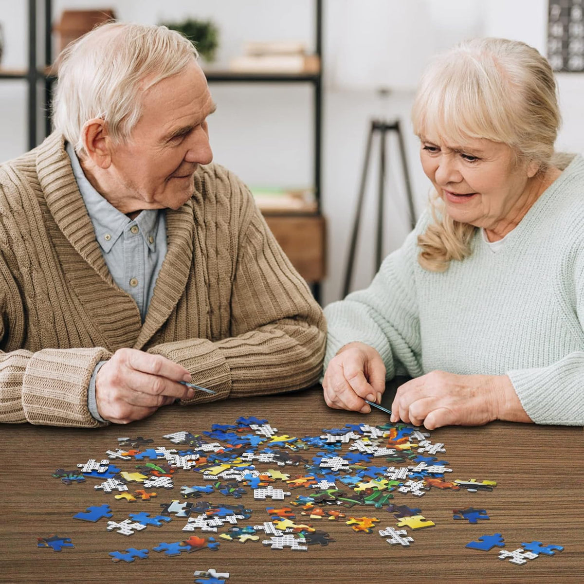 1000 Pieces Jigsaw Puzzle with Poster W141