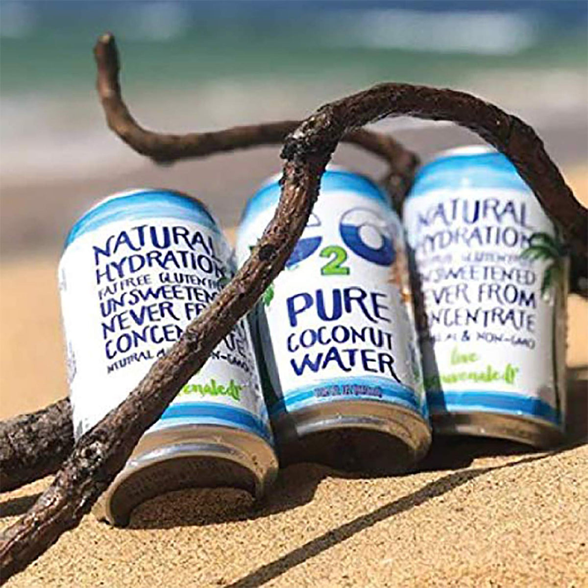 10.5 Fl Oz Pack of 24 Pure Coconut Water U23669
