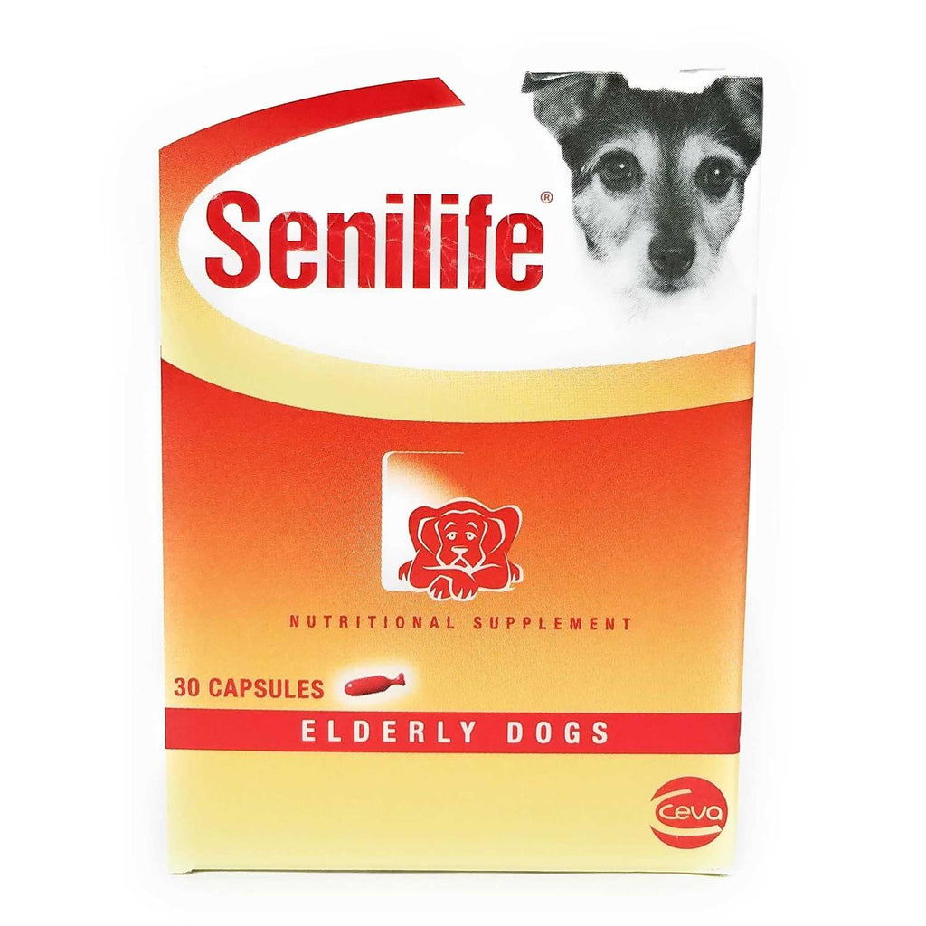Nutritional Supplement for Elderly Dogs S711100