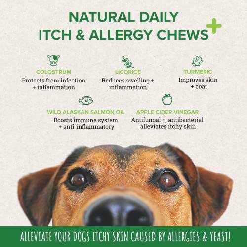 Itch & Allergy Chew Supplement for Dogs with Alaskan Salmon Fish Oil X578759