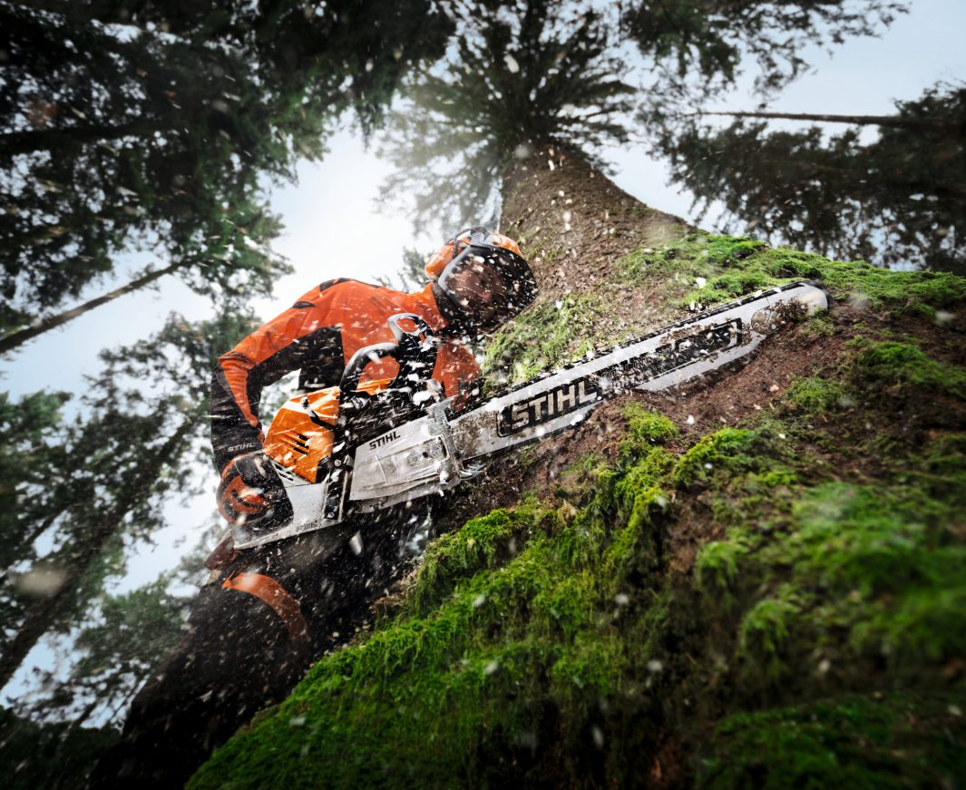 GASOLINE CHAINSAW R308654