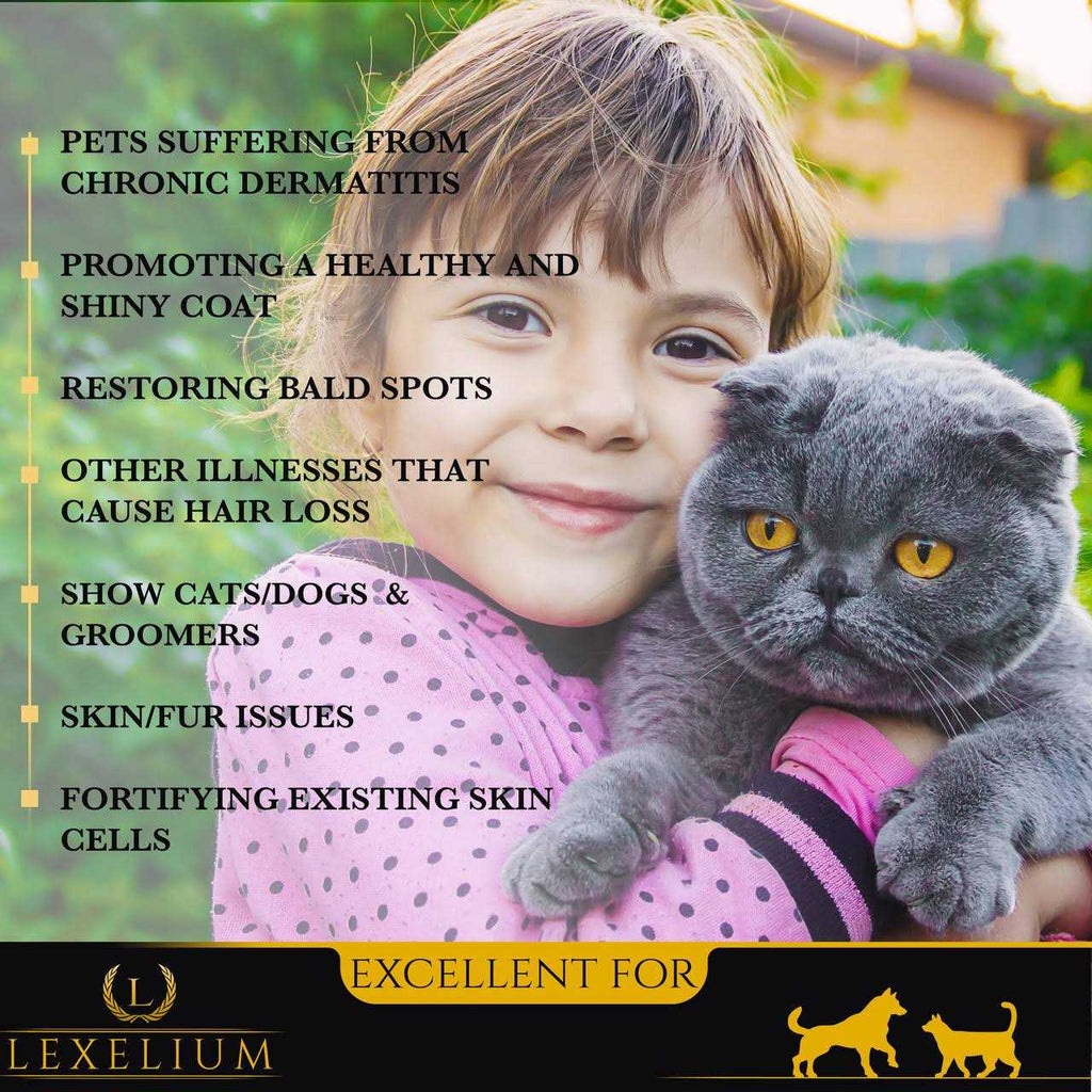 Dermatitis Skin and Coat Supplement for Dogs and Cats W9161