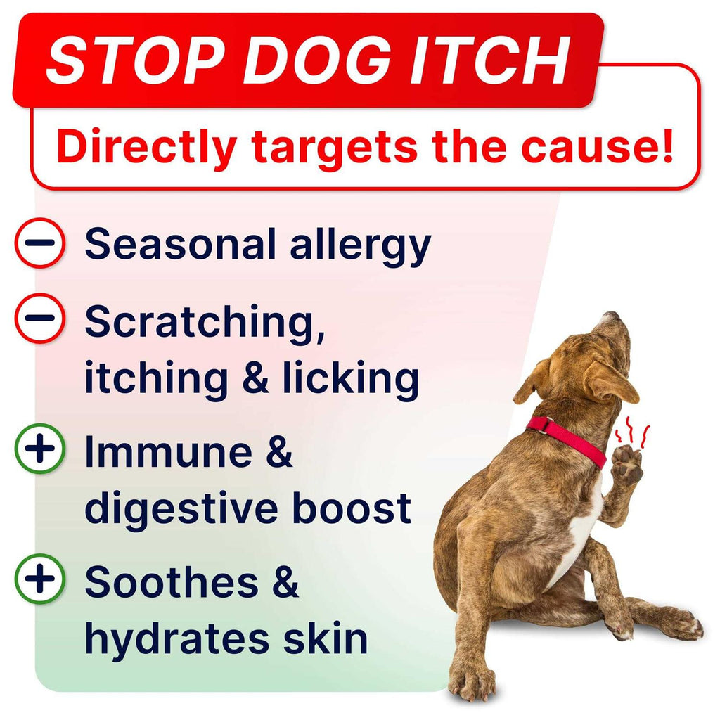 Allergy Relief R313