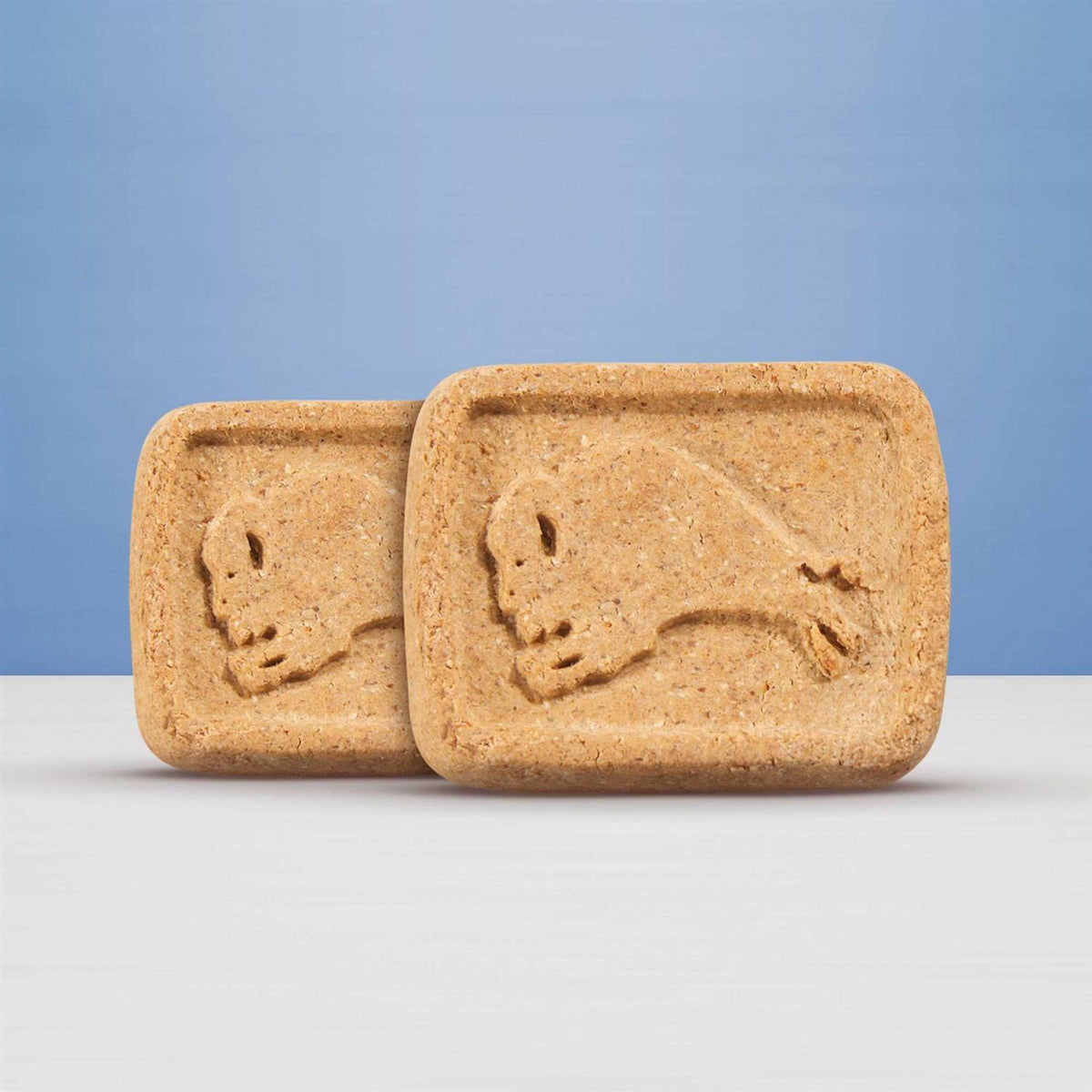 Dog Biscuits E246