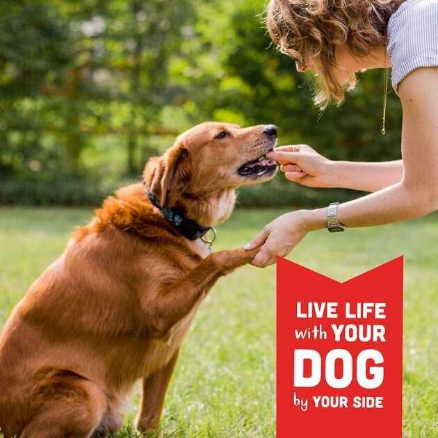 Grain Free Oven Baked Dog Treats W3878