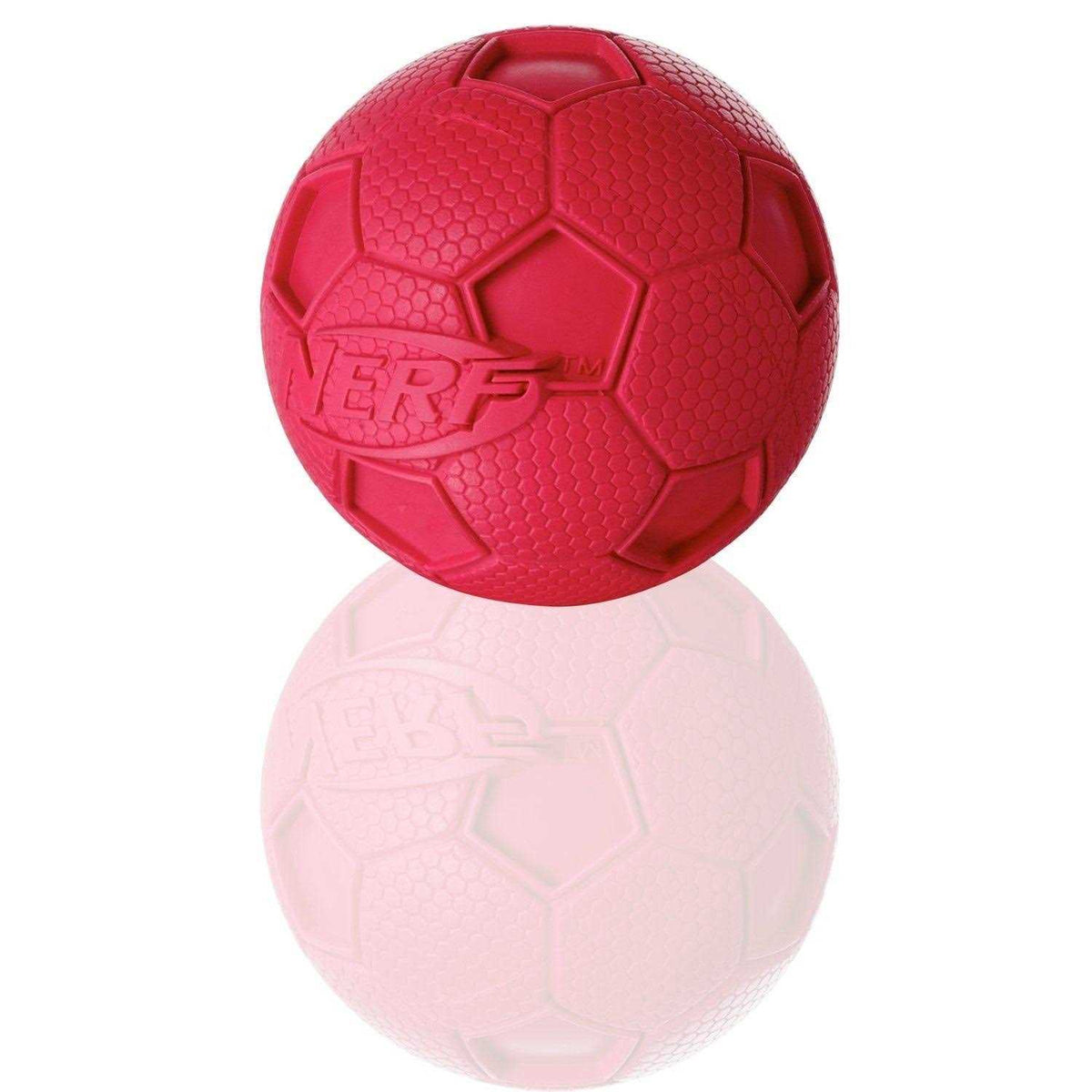 Dog Soccer Ball T26453