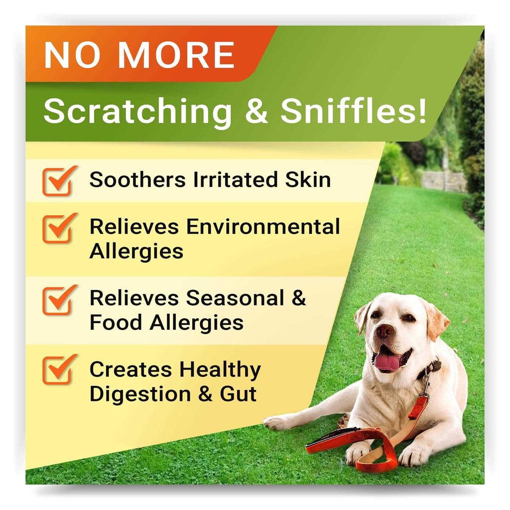 Allergy Relief R313