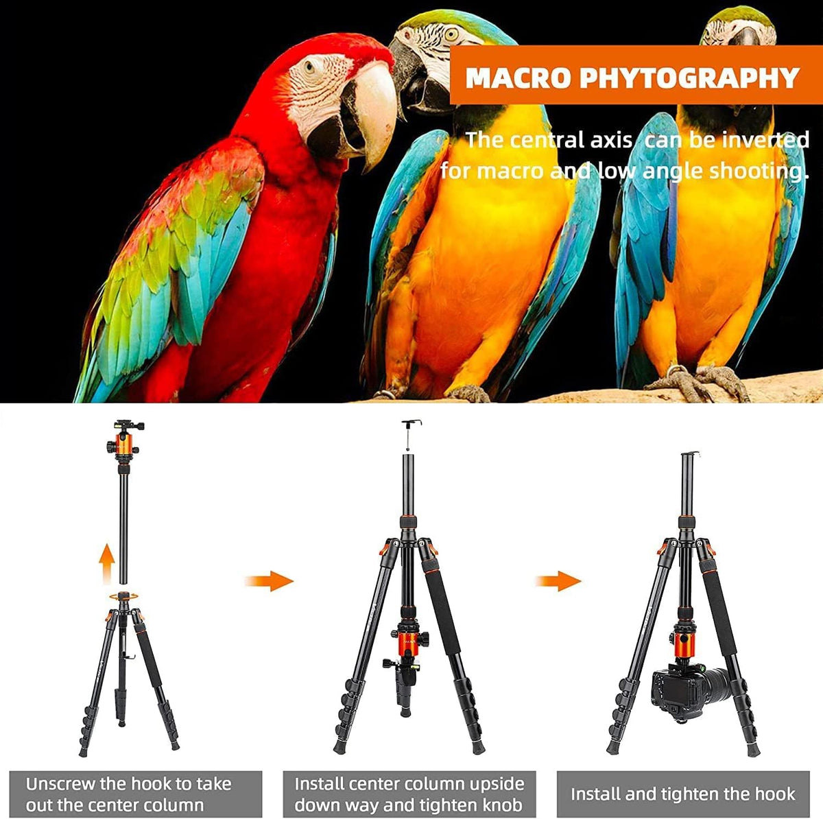 82 inches Aluminum Tripod with 360 Degree Ball Head, Pack of 2 T647470