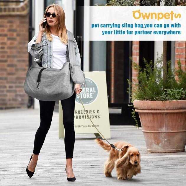 Dog & Cat Carrier V13659