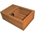 Tortoise House F489