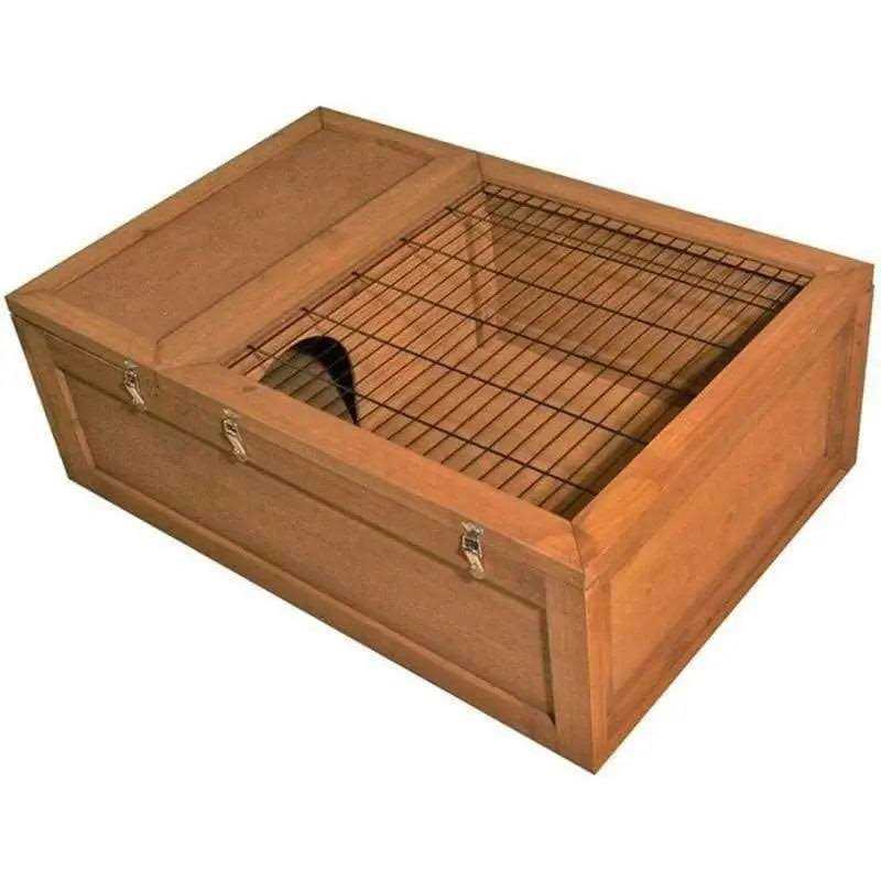 Tortoise House F489