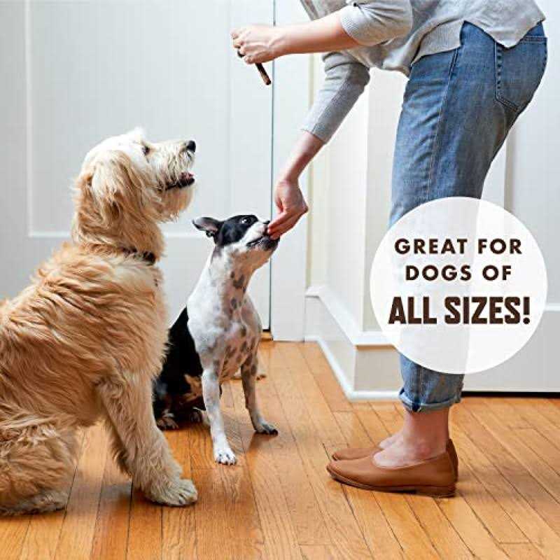 Dog Toy O61327