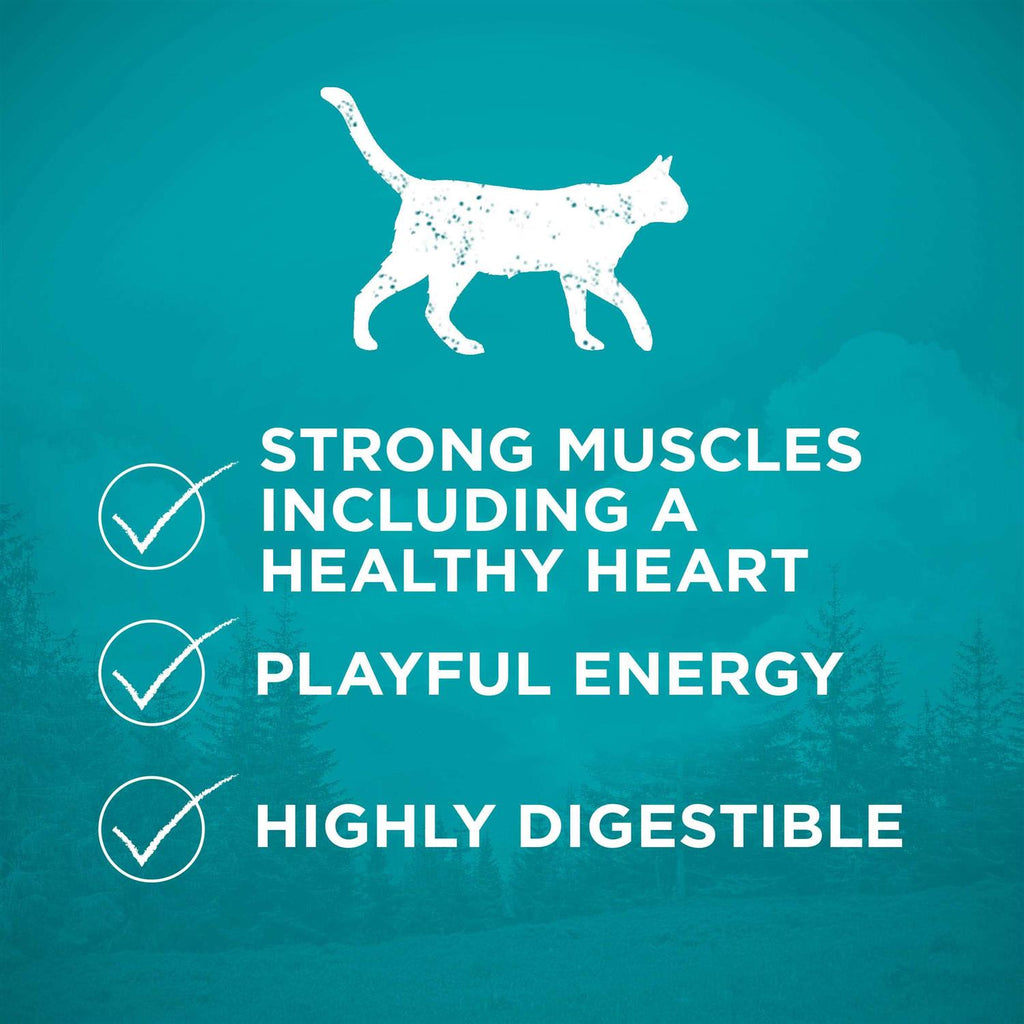 High Protein Grain Free Dry Cat Food O282