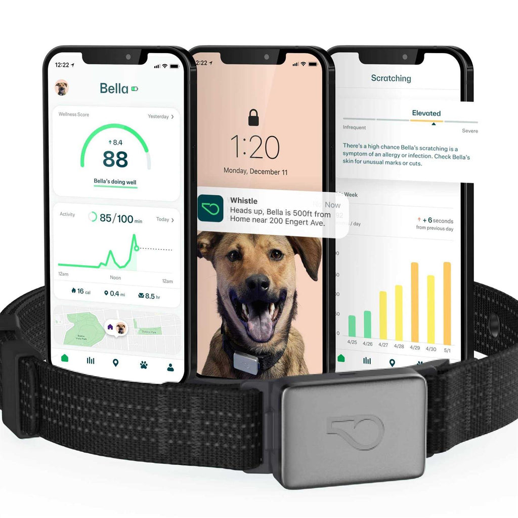 Smart Collar Kit Z5607