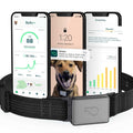 Smart Collar Kit Z5607
