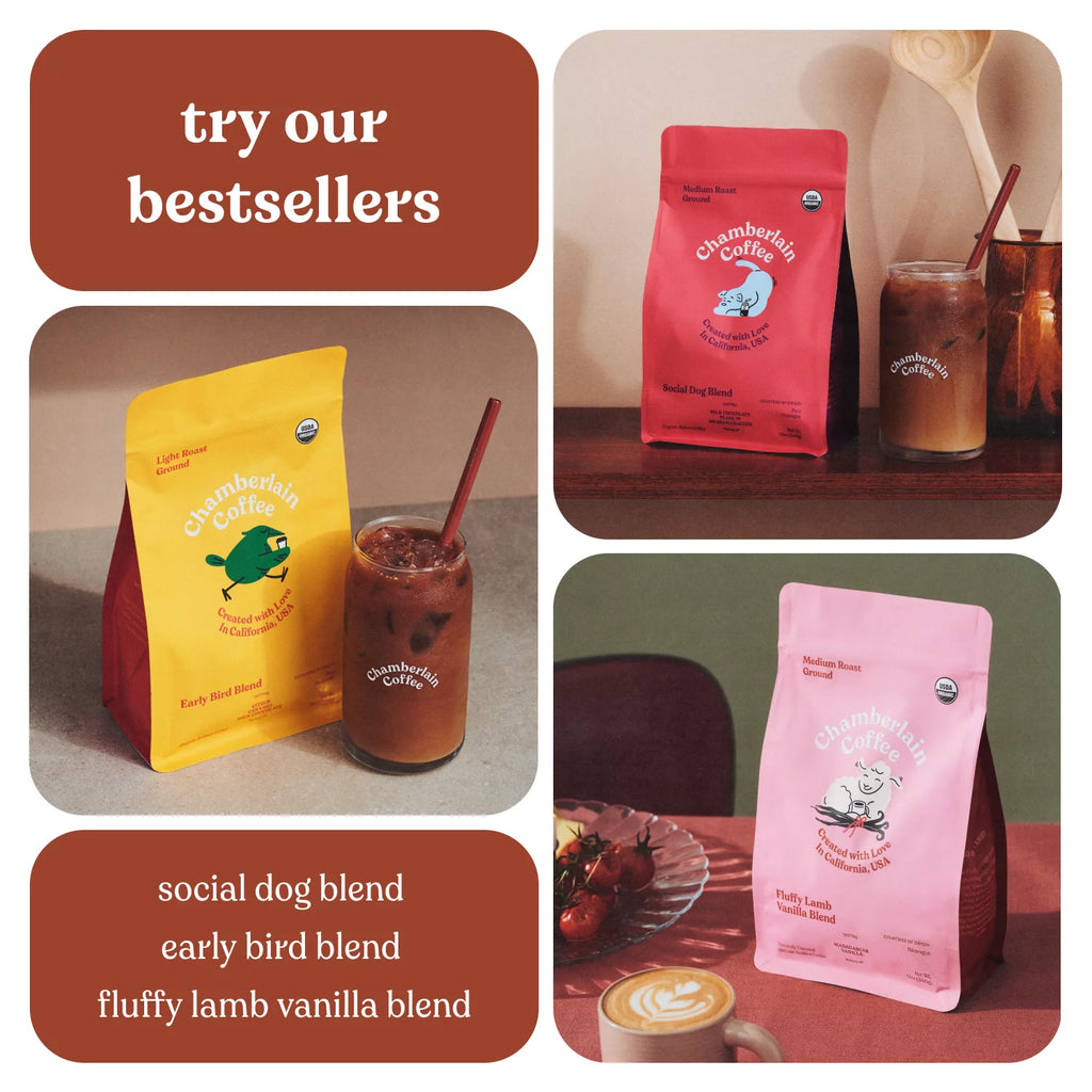 Medium Roast Ground Coffee 12 oz T4686