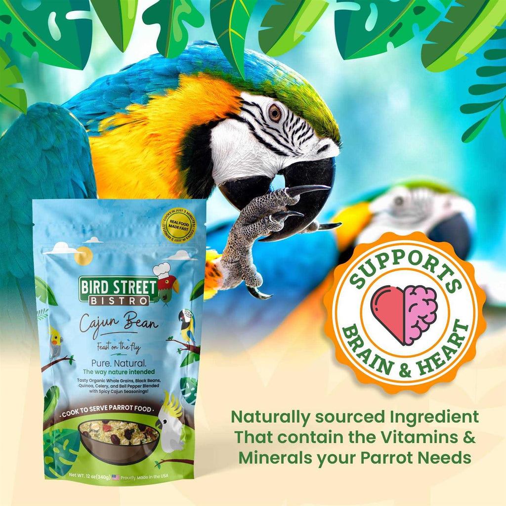 Bird Food Y41544