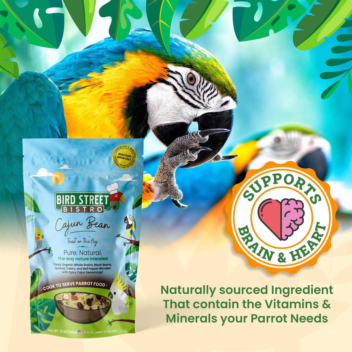 Bird Food Y41544