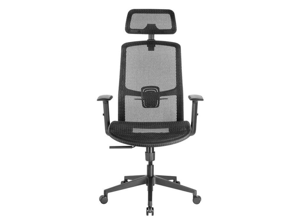 Ergonomic Office Chair with Mesh Seat X91850