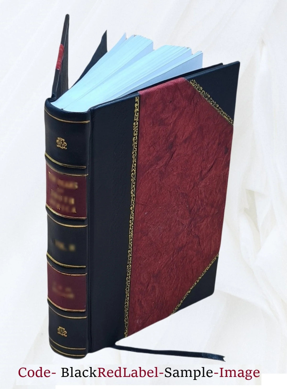 Antiquarian Architecture Specimens O2423