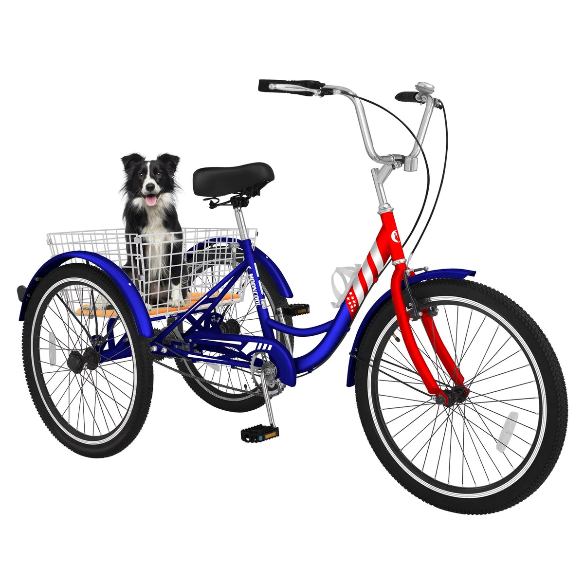 24 Single Speed Tricycle with Large Basket I446057